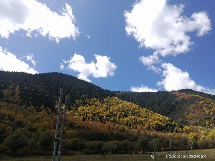 逃离粉红岛