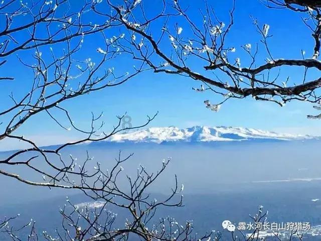 光之子