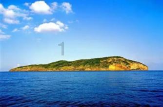“税力量”护航,重大项目建设冲刺开门红