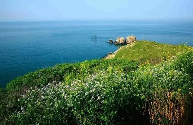 小小兵团