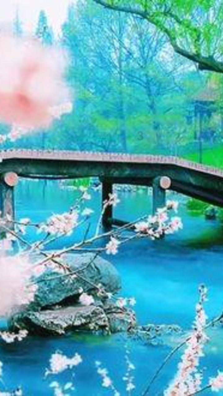 “减肥过度”的8位女明星,瘦了之后,简直惨不忍睹